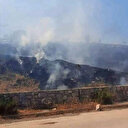 Bodrum'daki orman yangını söndürüldü