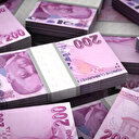 Hazine ve Maliye Bakanlığı 2,6 milyar lira borçlandı