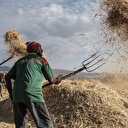 La BAD débloque 84,3 millions de dollars pour appuyer la production de blé en Ethiopie