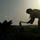 "La chaleur nous tue": travailler par 50 degrés au Moyen-Orient et en Afrique du Nord
