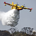 Maroc: Le feu qui a ravagé 790 hectares de forêts, totalement maîtrisé
