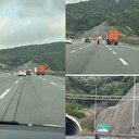 Kuzey Marmara'da ilginç görüntü: Otoyolda gören dehşete düştü o anlar kamerada