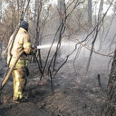 İstanbul'da orman yangını: Alevlerle mücadeleye helikopter de destek verdi