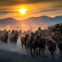 Hürmetçi Sazlığı 'kesin korunacak hassas alan' ilan edildi
