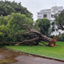 Japon: un mort et 200.000 foyers toujours sans électricité au passage d'un typhon à Okinawa