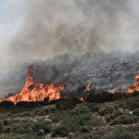 Grèce: Important incendie de forêt dans le nord-est du pays