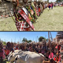 Kenya: à la cérémonie d'Eunoto, les jeunes Massaï renouent avec leur culture