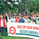 Sendika başkanı işçileri azarladı