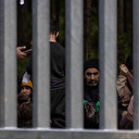 Les autorités polonaises déjouent 85 tentatives d'entrées de migrants depuis le Bélarus