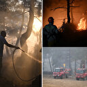 Çanakkale'deki orman yangını kontrol altına alındı