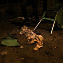 RDC: l'ONU confirme la mort de 33 personnes dans une attaque de rebelles ADF dans l'est