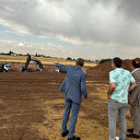 MHP Genel Başkanı Bahçeli Nevşehir'deki arsayı bağışlamıştı: Temeli 2 Eylül'de atılacak