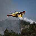 Grèce: l'incendie dans le parc national de Dadia toujours "hors de contrôle"