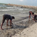 Mexique: la fuite de pétrole dans le golfe a touché les plages 