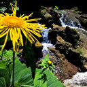 Bosnie-Herzégovine: la source de la rivière Miljacka montre sa nature luxuriante