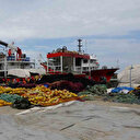Palamuttan umut yok: Balıkçılar yarın ‘Vira Bismillah’ diyecek