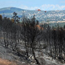 Incendies de forêt en Grèce: au moins 150.000 hectares touchés