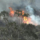 Espagne: l'incendie à la frontière avec la France s'étend, plus de 130 personnes évacuées
