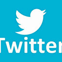 Bir Twitter davası