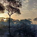 Vague de chaleur: l'Espagne en alerte après un weekend d'incendies