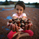 Cumhurbaşkanı Erdoğan fındık alım fiyatını açıkladı: Üreticimize hayırlı olsun