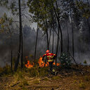 Canicule: incendies au Portugal, l'Espagne en alerte