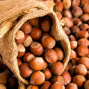 Fındık çeşitleri, özellikleri ve fiyatları (Levant fındık nedir?)