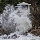 Saola risque d'être "le plus puissant" typhon depuis 1949 autour de Hong Kong