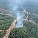 İzmir'de korkutan orman yangını: Kısa sürede söndürüldü
