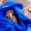 Enkaz altından göbek bağıyla birlikte bir bebek kurtarıldı