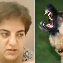 Başıboş köpekleri savunarak 'Türkiye’de başıboş çocuk sorunu var' diyen YouTuber gözaltına alındı