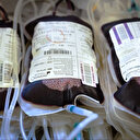 Dons du sang ou de cellules: vers des règles harmonisées en Europe