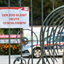 Autriche: une gardienne de zoo tuée par un rhinocéros