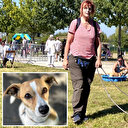 Almanya'da sahipsiz köpek sorunu barınaklarla çözüldü