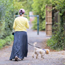 İngiltere'de başıboş köpek sorunu çözüldü: Bir hafta içinde sahiplenilmeyen köpekler uyutuluyor