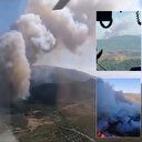 İzmir'in Menderes ilçesinde orman yangını çıktı