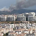 Bursa’da orman yangını