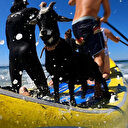 Des chèvres qui surfent ? En Californie, les biquettes relèvent le défi