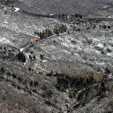 Incendies en Grèce: le manque de prévention pointé du doigt