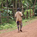 L'UE suspend le financement du Programme alimentaire mondial en Somalie