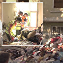 Evden 18 kamyon çöp ve atık çıktı: Kötü kokular yayılınca fark ettiler