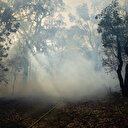 Migrations et changement climatique: lien évident, conséquences fluctuantes