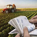 Bakan Yumaklı açıkladı: 728 milyon TL'lik avans ödemesi üreticilerin hesaplarına yatırılıyor
