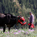 Besiciler dönüş yolunda: Rengarenk kıyafetlerle renkli görüntülere sahne oldu