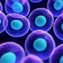 Otofaji nedir, nasıl oluşur? Otofajinin faydaları