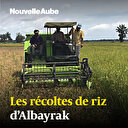 Les récoltes de riz d’Albayrak