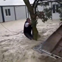 Ağaca sarılarak hayata tutundu