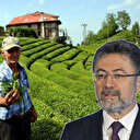 Bakan Yumaklı çay üreticilerine alım ödemelerinin yarın yapılacağını bildirdi