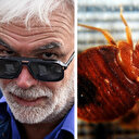 France / cliché raciste: Dérapage en direct d'un journaliste français