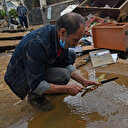 Algérie: Quatre personnes tuées suite aux inondations qui ont affecté le nord-est du pays